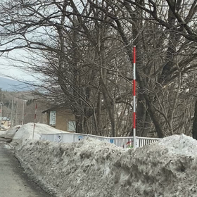 春は遠しの画像