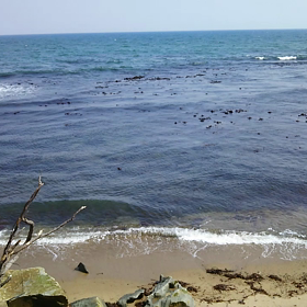 海の動画ですの画像