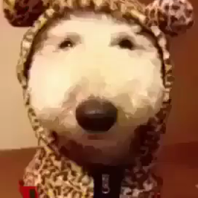 通った〜ありがとう御座いました。の画像