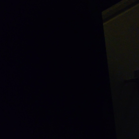 キチガイピザーラの深夜のシャッター締めの画像