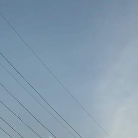 これなあに？の画像