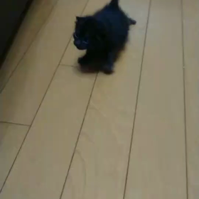 皆様に支えられて・・・‼＊つゆみちゃんの画像