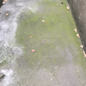 過去の動画ですが・・・の画像