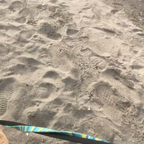 ♪お散歩動画♪お台場海浜公園♪の画像