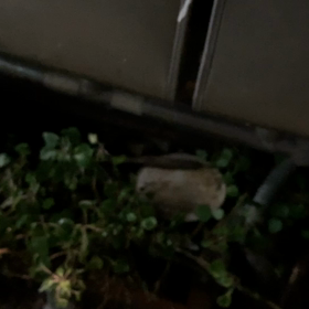 事務所を出たら。。。の画像