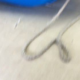 わんぱくに雪山の画像