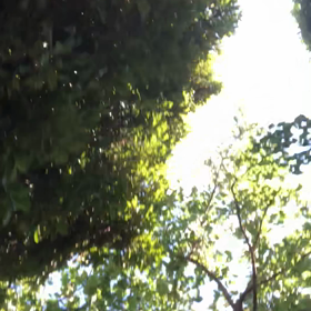 きのうの髪型／動画の画像