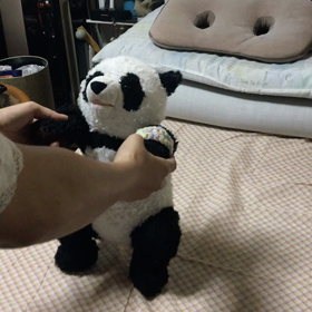 家に遊びに来たパンダの画像