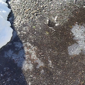 アイスリンクの様な道路の画像