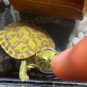 なれなれしいな(笑)の画像