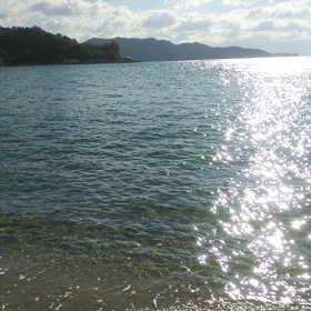 夫婦2人暮らしになりましたの画像