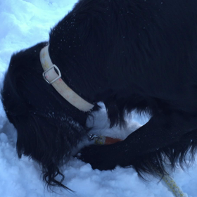 何もないじゃん！の画像