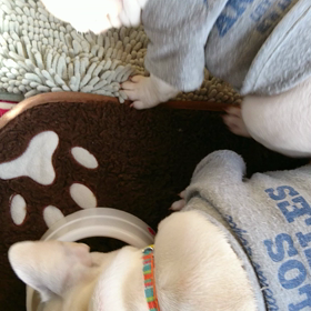 どっちもおんなじ～ッ❗⁉️の画像