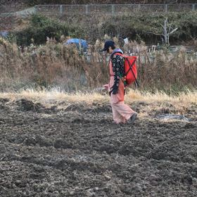 耕作放棄田を、再生するぞ〜の画像