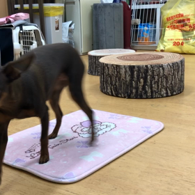 もっと長く出来るようにするよ。の画像