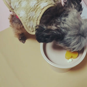 バレンタインデザート②の画像