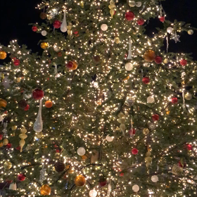 イルミネーションの画像