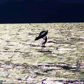 10分4ラウンドの画像