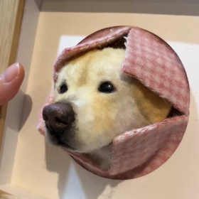 もう一つ記念の画像