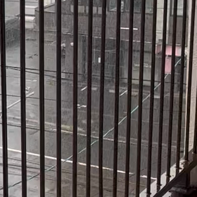 お散歩行こうと思ったらの画像