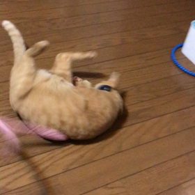 気の重い一週間。の画像