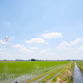 今日もファイトしましょうかねぇ╰(*´︶`*)╯♡の画像