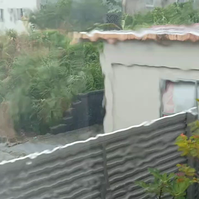 雨戸を閉めない！？の画像