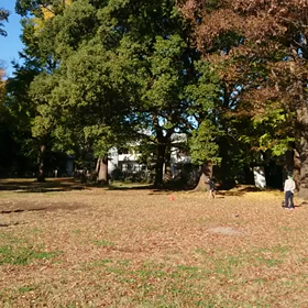 ジャベリック記録会⑬の画像