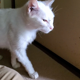 よく見ると‼️の画像