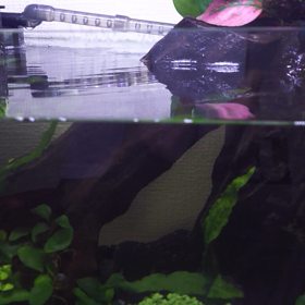 炭酸水いれてみました(^o^)/の画像