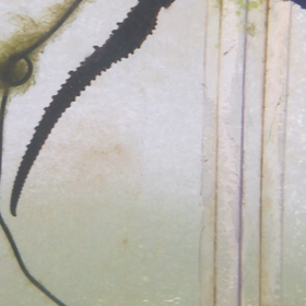 冷凍餌を食べないメス♂️の画像