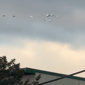 今日から4月です- ̗̀ ( ˶'ᵕ'˶) ̖́-の画像