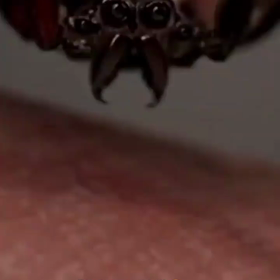 8/3 임현태の画像