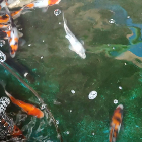 筋肉痛もきた！！！の画像