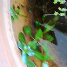 密です！密です！！密です！！！の画像