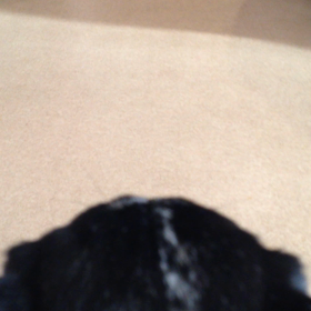 戻ってこないの画像