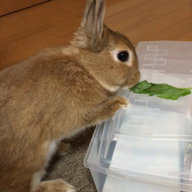 失敗の画像