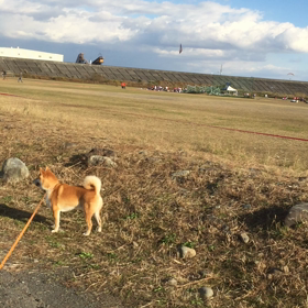 富士川緑地公園の画像
