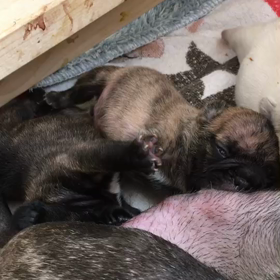 ハイタッチの画像