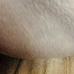 小室眞子と私の今後！生足を披露。の画像