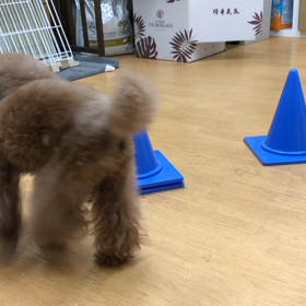 急に難しくなったかな？の画像