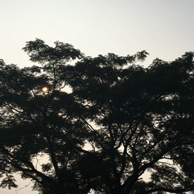 いい感じ。の画像