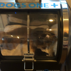 ⬛️7/26〜8/1＊酸素カプセルご利用のお友達⬛️1の画像