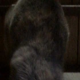 階段降りの画像