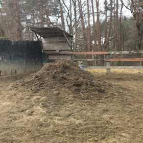 頑張れローラの画像