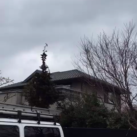 ☆みみをすませば(笑)(動画→録音)の画像