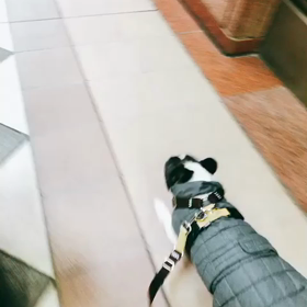 豆は(*'▽'*)の画像