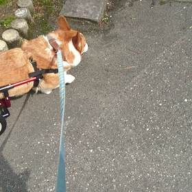 新車納車の画像