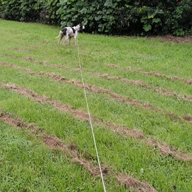 ミュミュール　よ~~いっドンっ(*>∀<*)の画像