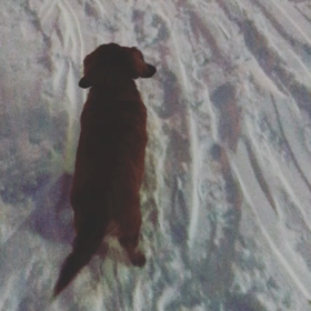 探してるの画像